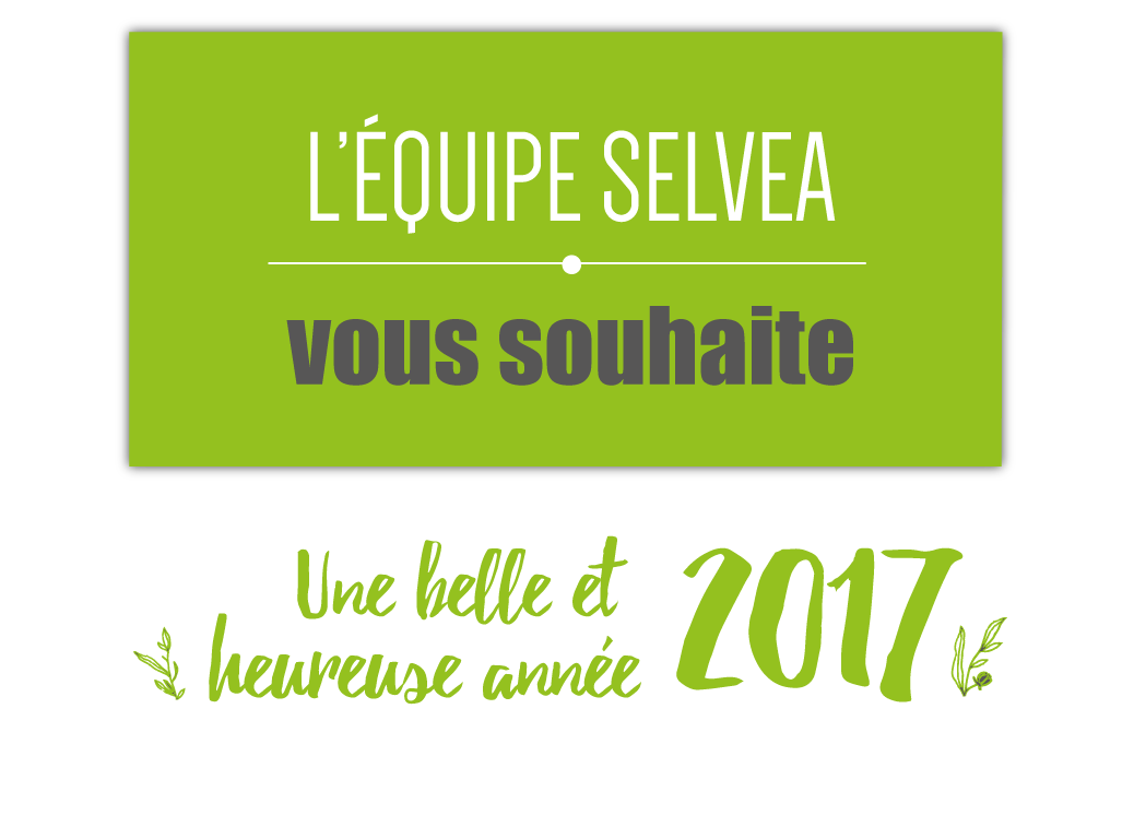 selvea voeux 2017 et bilan 2016